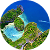 Asia-Pacific
